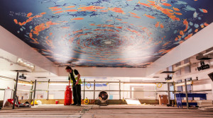 Barrisol Printed Stretch Ceiling