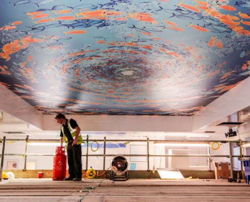 Barrisol Printed Stretch Ceiling