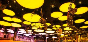Barrisol-Welch-Creative-Cruise-Ship-Lighting