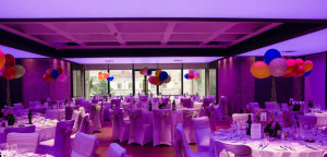 Barrisol-Welch-Acoustic-Stretch-Ceilings