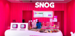 Barrisol-Welch-Snog-Frozen-Yoghurt