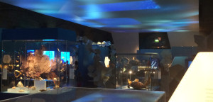 Barrisol Welch Natural History Museum Stretch Ceiling