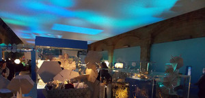 Barrisol Projection Ceiling