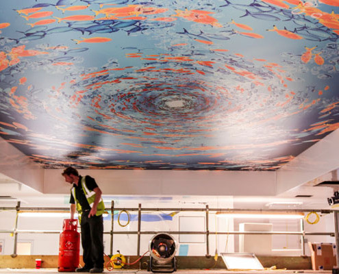 Barrisol Printed Stretch Ceiling