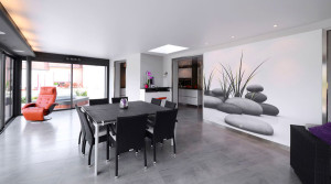 Barrisol Artolis Contemporary Home Installation