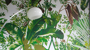 Barrisol Artolis HD Printed Walls