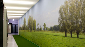 Barrisol Artolis Printed Wall Installation