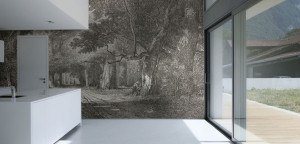 Barrisol Artolis Home Installation
