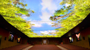 Barrisol Illuminated Backlit Stretch Ceiling