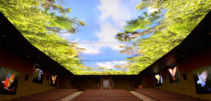 Barrisol Backlit Printed Stretch Ceiling