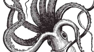 Barrisol Editions Engraving Squid