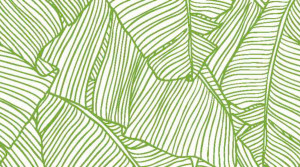 Barrisol Editions Leaf Print Graphic