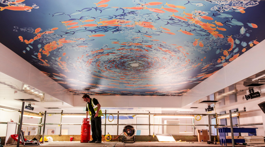 Barrisol Printed Ceilings