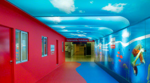 Barrisol Printed Ceilings and Walls