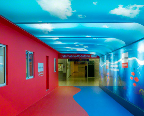 Barrisol Printed Ceilings and Walls