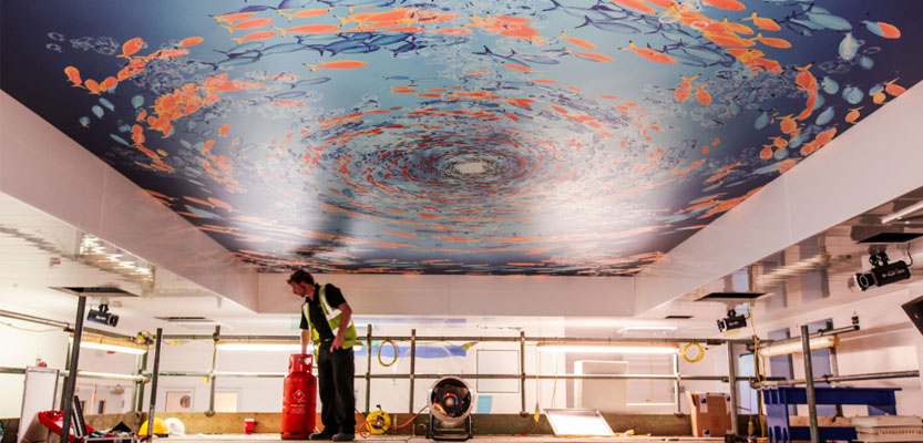 Barrisol Printed Stretch Ceiling