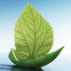 Barrisol-Ecology-Brochure-Thumb