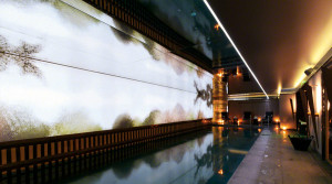 Barrisol Light Lines And Stretch Ceiling Installers